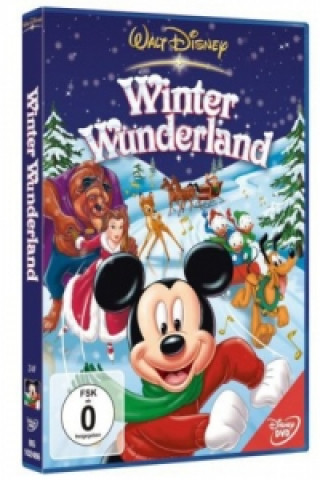 Video Winter Wunderland, 1 DVD 