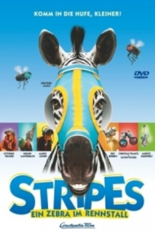 Videoclip Stripes, Ein Zebra im Rennstall, 1 DVD Tom Finan