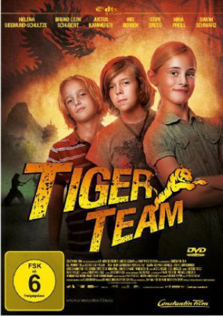 Video Tiger-Team - Der Berg der 1000 Drachen, 1 DVD Peter Gersina