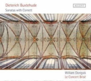 Audio Sonaten mit Zink, 1 Audio-CD Dietrich Buxtehude