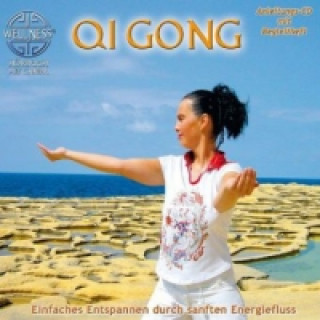 Audio Qi Gong, 1 Audio-CD + Begleitheft anda