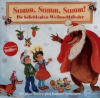 Audio Summ, Summ, Summ!, 1 Audio-CD Various