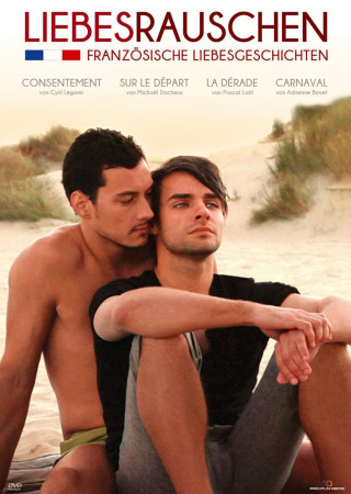 Filmek Liebesrauschen - Französische Liebesgeschichten (Kurzfilmsammlung), 1 DVD, französisches O.m.U. Various