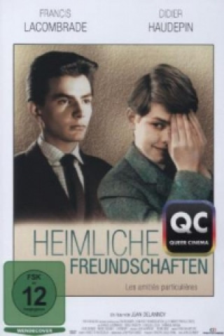 Videoclip Heimliche Freundschaften, 1 DVD Francis/Haudepin Lacombrade
