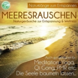 Audio Meeresrauschen, 1 Audio-CD 