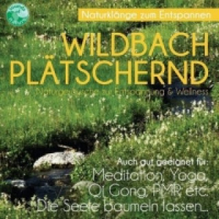 Audio Wildbach Plätschernd, 1 Audio-CD 