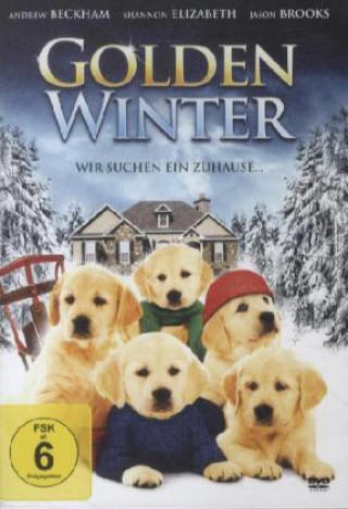 Video Golden Winter, 1 DVD Sam Mendoti
