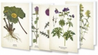 Joc / Jucărie Kunstklappkarten "Flora" 