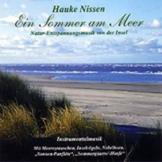 Audio  Ein Sommer am Meer, 1 Audio-CD Hauke Nissen