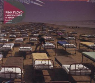 Hanganyagok A Momentary Lapse Of Reason, Audio-CD ink Floyd
