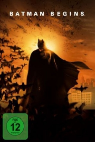 Video Batman Begins, 1 DVD Lee Smith