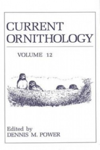 Könyv Current Ornithology D. M. Power