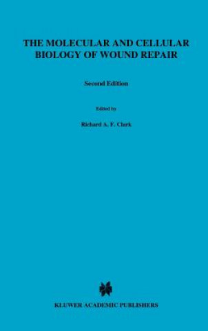 Könyv Molecular and Cellular Biology of Wound Repair R. A. F. Clark