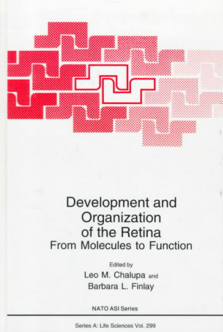 Książka Development and Organization of the Retina 