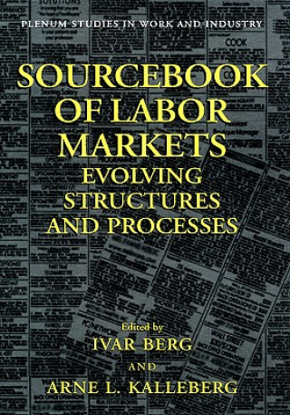 Könyv Sourcebook of Labor Markets Ivar Berg