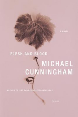 Kniha Flesh and Blood Michael Cunningham