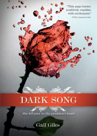 Kniha Dark Song Gail Giles
