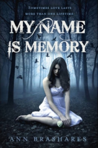 Книга My Name Is Memory Ann Brashares