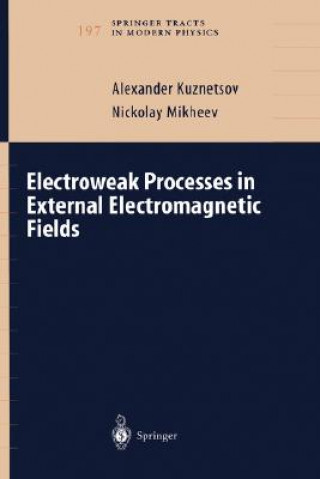 Książka Electroweak Processes in External Electromagnetic Fields Alex V. Kuznetsov