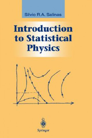 Buch Introduction to Statistical Physics Silvio R. A. Salinas