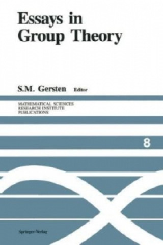 Buch Essays in Group Theory S. M. Gersten