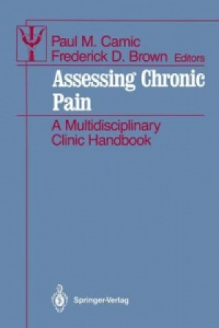 Kniha Assessing Chronic Pain Paul M. Camic