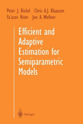 Книга Efficient and Adaptive Estimation for Semiparametric Models Peter J. Bickel