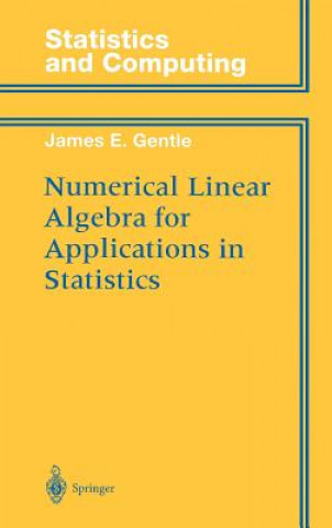 Livro Numerical Linear Algebra for Applications in Statistics James E. Gentle