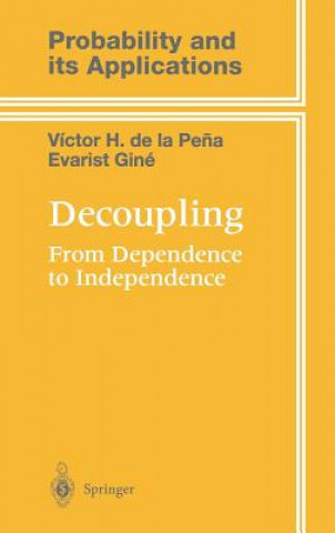 Knjiga Decoupling Evarist Gine