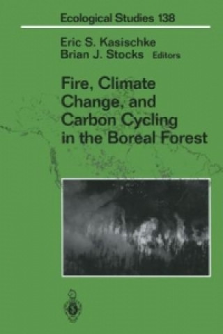 Książka Fire, Climate Change, and Carbon Cycling in the Boreal Forest Eric S. Kasischke