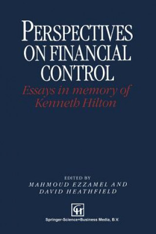 Kniha Perspectives on Financial Control Mahmoud Ezzamel