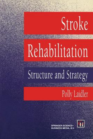 Kniha Stroke Rehabilitation Polly Laidler