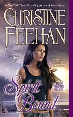 Книга Spirit Bound Christine Feehan