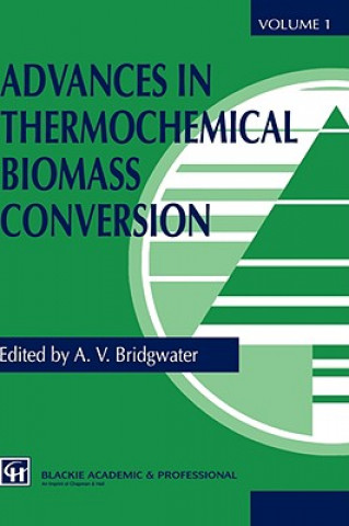 Libro Advances in Thermochemical Biomass Conversion, 3 Pts. A. V. Bridgwater