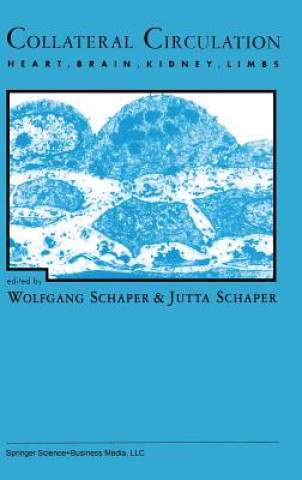 Kniha Collateral Circulation Jutta Schaper
