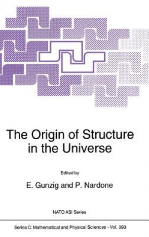 Kniha The Origin of Structure in the Universe E. Gunzig