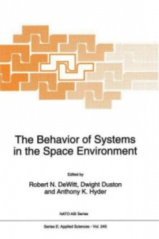Kniha The Behavior of Systems in the Space Environment R. N. Dewitt