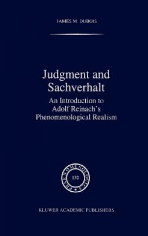 Kniha Judgment and Sachverhalt James M. DuBois