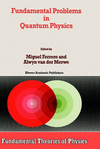 Livre Fundamental Problems in Quantum Physics M. Ferrero