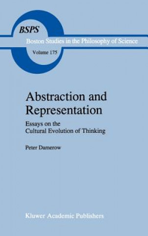 Knjiga Abstraction and Representation P. Damerow