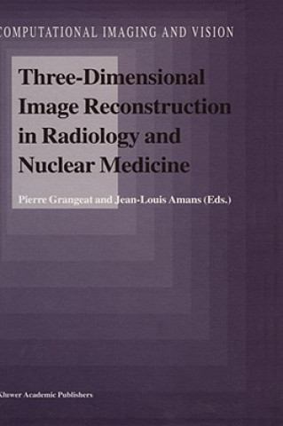 Könyv Three-Dimensional Image Reconstruction in Radiology and Nuclear Medicine Pierre Grangeat