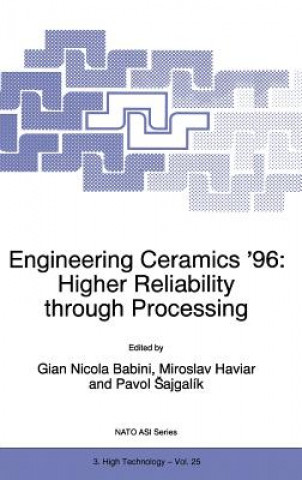 Kniha Engineering Ceramics '96: Higher Reliability through Processing G. N. Babini