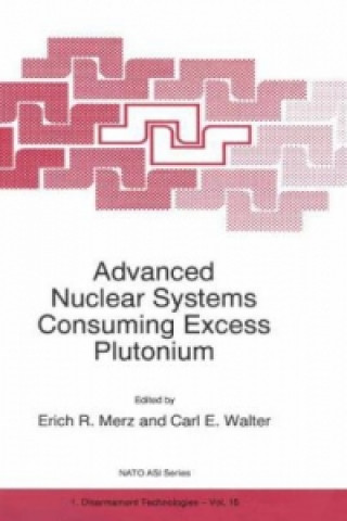 Kniha Advanced Nuclear Systems Consuming Excess Plutonium E. R. Merz