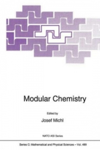 Książka Modular Chemistry Josef Michl