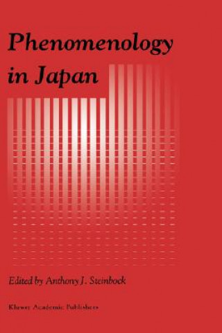 Könyv Phenomenology in Japan A. J. Steinbock