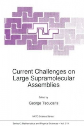 Könyv Current Challenges on Large Supramolecular Assemblies Georges Tsoucaris