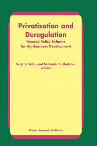 Könyv Privatization and Deregulation Mohinder S. Mudahar