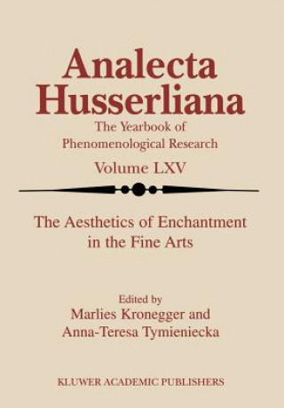 Kniha Aesthetics of Enchantment in the Fine Arts M. Kronegger