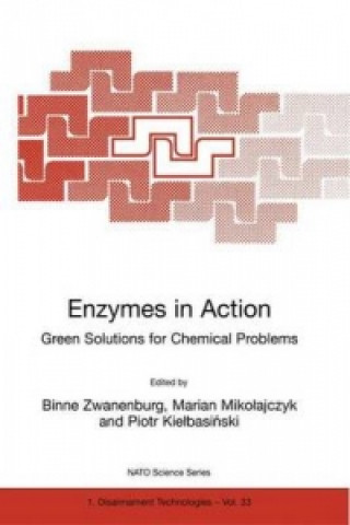 Kniha Enzymes in Action Green Solutions for Chemical Problems Binne Zwanenburg