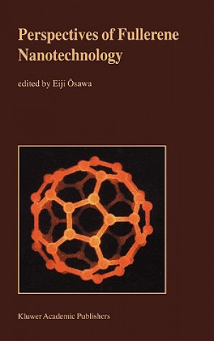 Kniha Perspectives of Fullerene Nanotechnology Eiji Osawa
